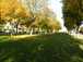  entre les voies du boulevard Jules Guesde